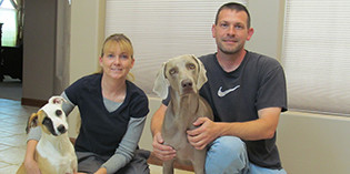 Fosters Needed Fosters Needed