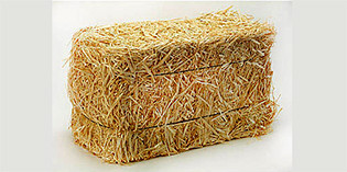 Free Straw for Outdoor Animals Free Straw for Outdoor Animals
