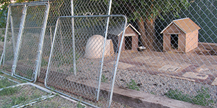 Wanted: NMDOG Fencing Coordinator Wanted: NMDOG Fencing Coordinator