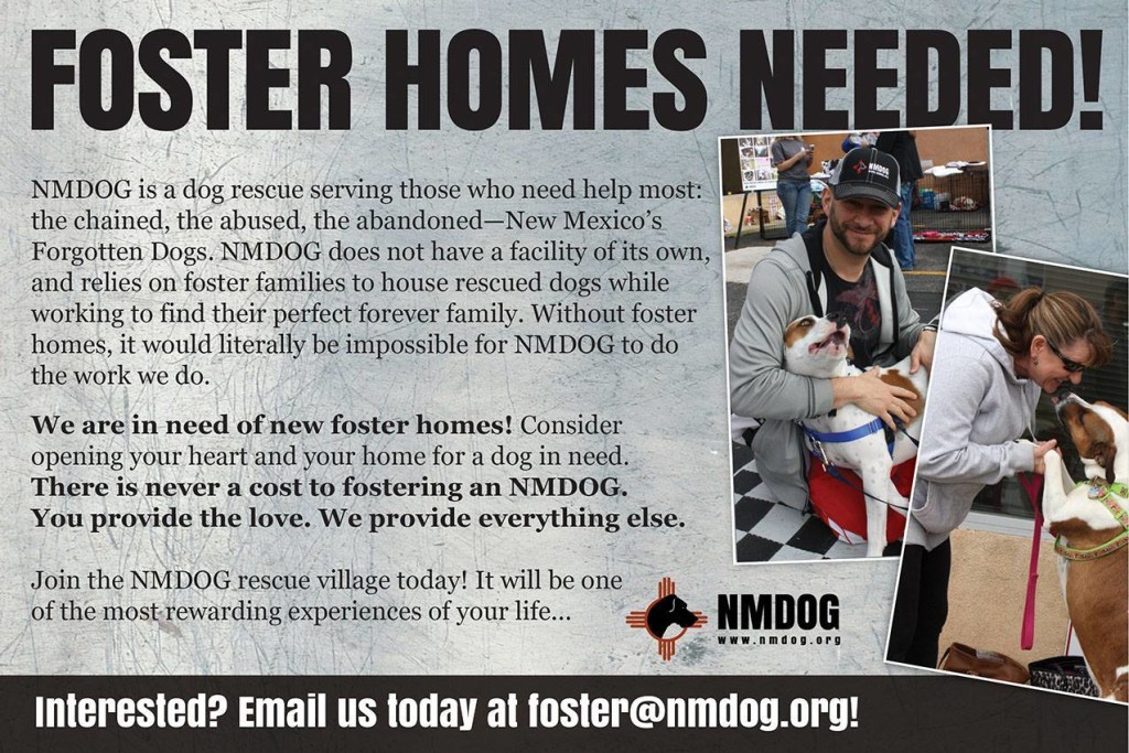 Urgent Need For New Fosters NMDOG