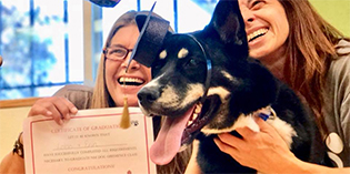 Graduate NMDOG Lobo Graduate NMDOG Lobo