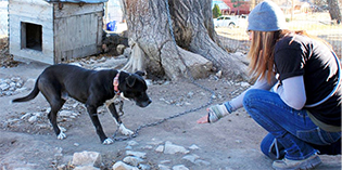 #UNchained and SAFE with NMDOG! #UNchained and SAFE with NMDOG!