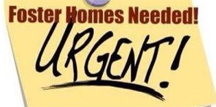 Urgent Need for Protective Custody Fosters Urgent Need for Protective Custody Fosters