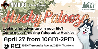 HuskyPalooza this weekend! HuskyPalooza this weekend!