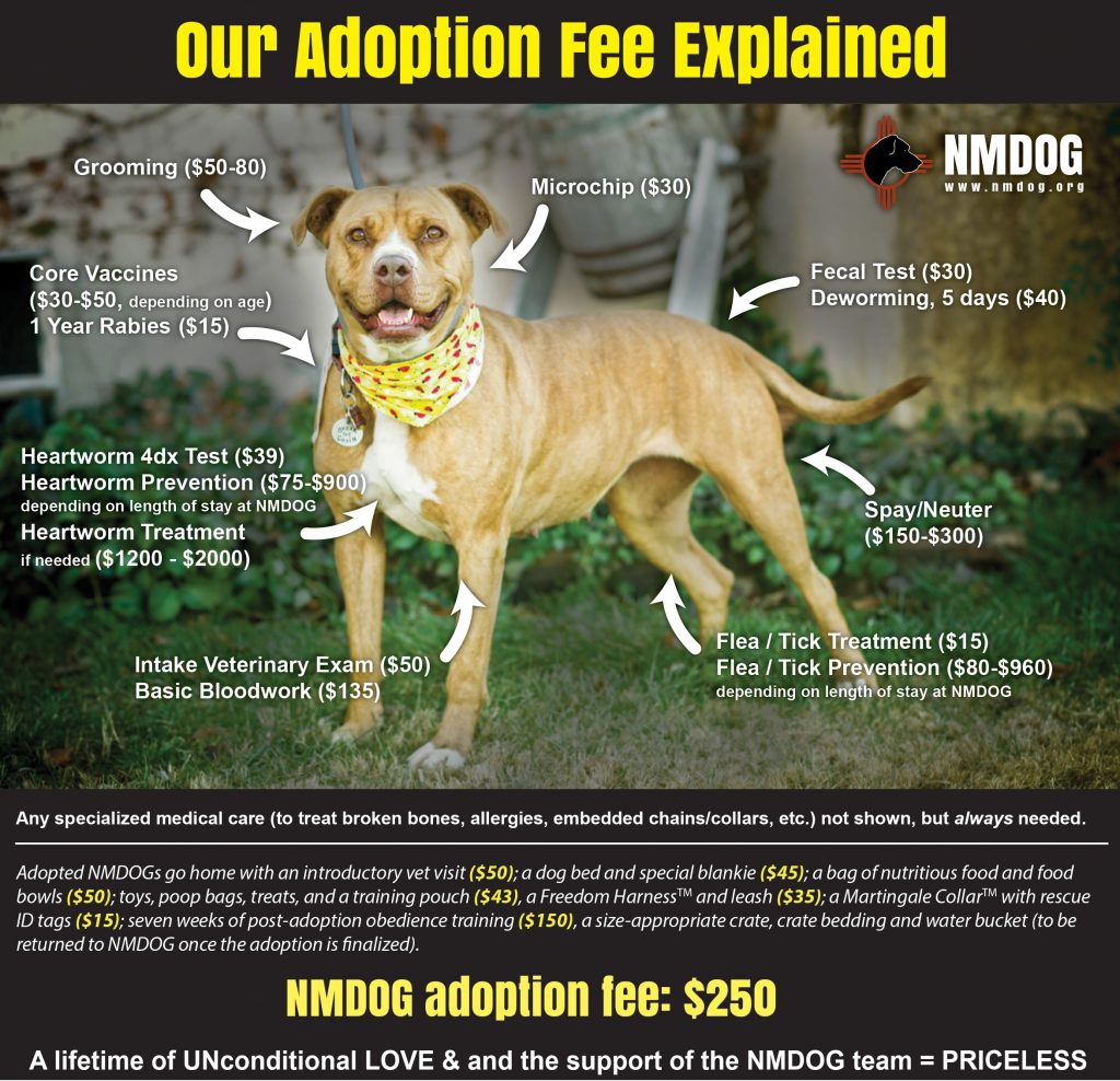Adoption Fee | NMDOG