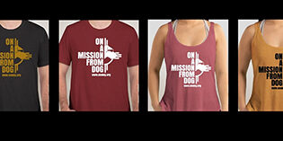 NMDOG summer gear is here! NMDOG summer gear is here!