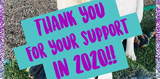 Thank you!!! Thank you!!!