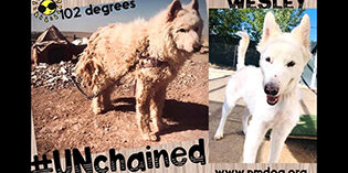 Wesley UN-Chained Wesley UN-Chained
