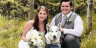 An NMDOG Wedding An NMDOG Wedding