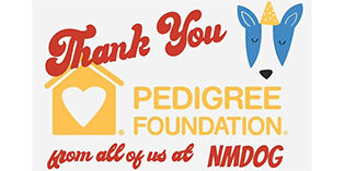 Thank you Pedigree Foundation! Thank you Pedigree Foundation!