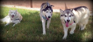 Bodhi and his sisters