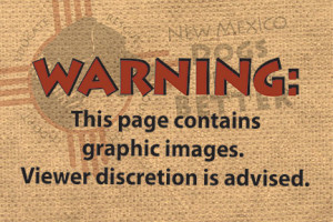 WARNING page