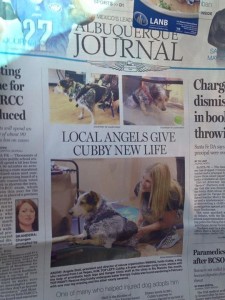 ABQ Journal Cubby