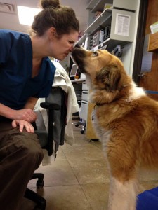 Hubble's blood donor Auki and her human Dr. Atkinson