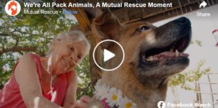 MUTUAL RESCUE FEATURES NMDOG’S HOME SANCTUARY PROGRAM